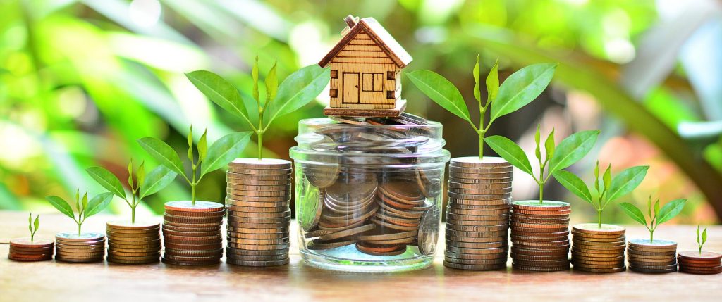 Donate to Native Partnership for Housing